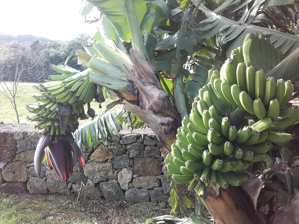 De Baixo Da Ponte Villa Biscoitos Kültér fotó